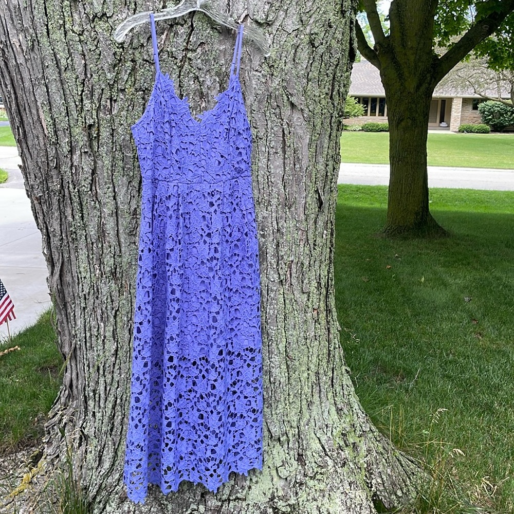 Astr the label blue/purple lace midi dress